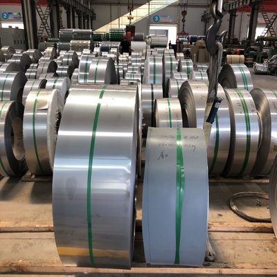 316 AISI Strook 0.7mm 0.8mm 0.9mm 1.0mm 5.5mm van het Legeringsroestvrije staal
