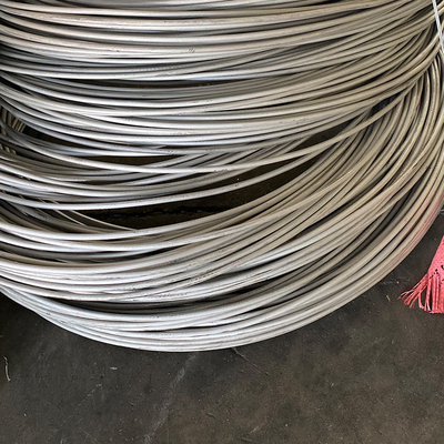 Draad 304 316 321 310 201 430 Roestvrij de Lentestaal Tig Welding Wire van het roestvrij staallassen